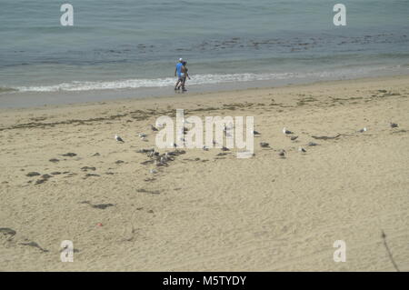 Paradiesische Malibu Strände an einem bewölkten Tag. Sport Natur Landschaft. Juli 4, 2017. Malibu Kalifornien USA EEUU. Stockfoto