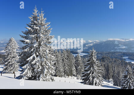 Verschneite Landschaft am Rande der Allgäuer Alpen an einem schönen Wintertag. Blick auf das Illertal mit Nebelhorn im Hintergrund. Bayern, Deutschland Stockfoto