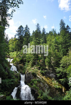 Wasserfälle mit Felsen und Moos im Wald. Triberg Wasserfälle, Schwarzwald, Deutschland Stockfoto