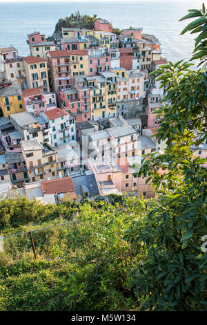 Vegetation und bunten Gebäude von Manarola, der Nationalpark der Cinque Terre, Ligurien, Italien Stockfoto