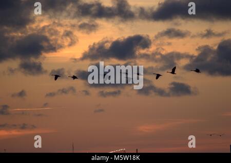 In Pickering Strand genommen, während die Sonne aufging. Stockfoto