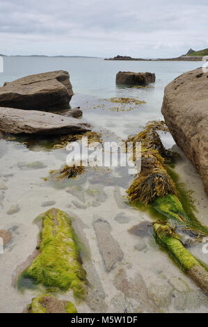 Meereslandschaft und Blick auf Felsen, Algen, Sand und Algen vom niedrigen Standpunkt aus mit blauem Himmel und Wolken. Scilly-Inseln, England Stockfoto