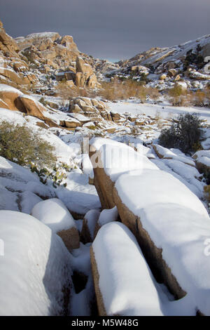 Schneefall auf dem Damm entlang Barker Trail. Stockfoto