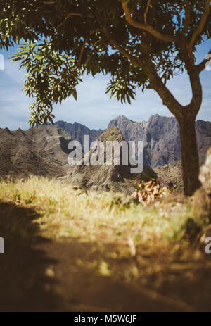 Erstaunlich riesige karge Gebirge am Horizont. Glühende Sonne das einzige Mango tree Schatten bietet. Santo Antao, Kap Verde Stockfoto