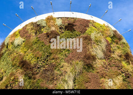 Green Building mit Pflanzen, die auf der Fassade. Ökologie und Grünes Wohnen in der Stadt, städtische Umwelt Konzept. Park in den Himmel, einem zentralen Park Stockfoto