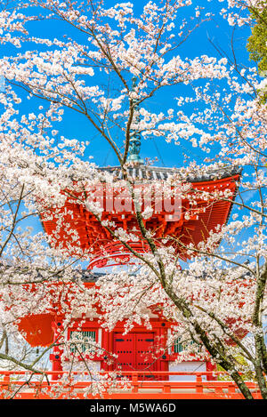 Kyoto, Japan am Daikaku-Ji-Tempel. Stockfoto