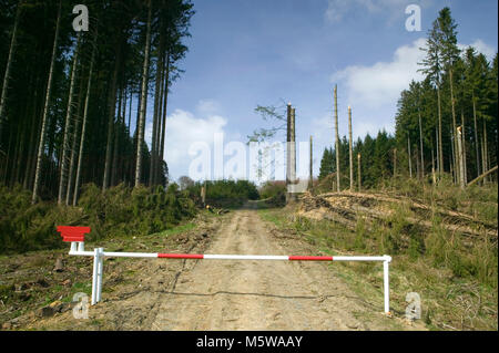 Schäden durch Sturm nach dem Sturm Kyrill im Jahr 2007, Meinerzhagen, Nordrhein-Westfalen, Deutschland, Europa Stockfoto