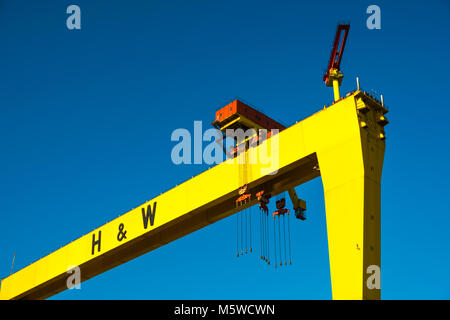 Belfaster Harland & WOLFF Krane Samson und Goliath in der H&W Werft, wo die Titanic gebaut wurde, Belfast skyline Stockfoto