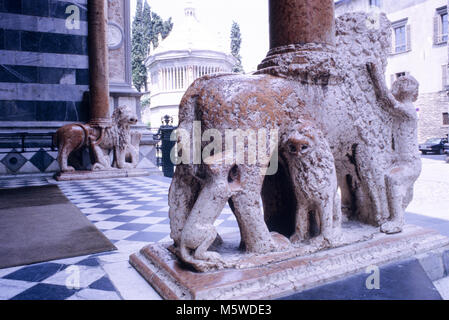 Detail eines der Lions unterstützen die Spalten der rechten Querschiff Veranda. Basilika Santa Maria Maggiore, Bergamo Alta, Lombardei, Italien Stockfoto