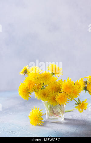 Weiß auf blau Löwenzahn Stockfoto