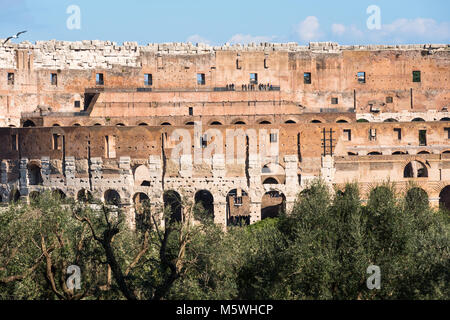 Das Kolosseum oder Kolosseum Palatin. Auch als der Flavischen Amphitheater, eine ovale Amphitheater im Zentrum der Stadt Rom, Italien bekannt. Stockfoto