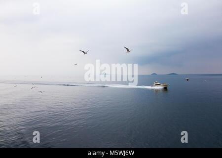 Möwen fliegen über dem Meer entlang einer Yacht zwischen Athen und Volos an einem nebligen Tag Stockfoto