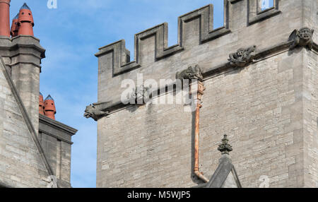 Wasserspeier aus Stein/grotesken am Brasenose College. Oxford, Oxfordshire, England Stockfoto