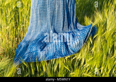 Romantische Frühling Szene mit Rock in der Gerste. Hordeum vulgare. Luftig blau weibliche Kleid im grünen Kornfeld im schönen, sonnigen klares Wetter. Stockfoto