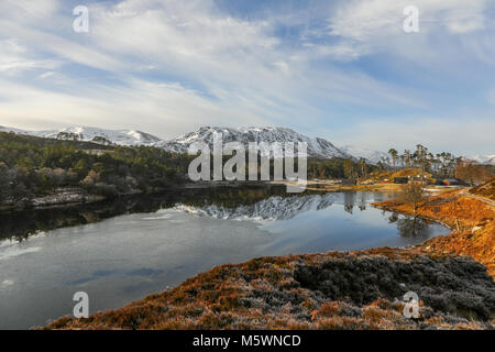 Schottischer winter Szenen im Glen Affric, Scottish Highlands, Schottland, Großbritannien. Stockfoto