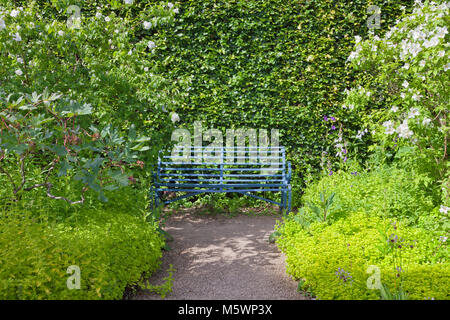 Blau metall Bank von einer großen, grünen Hecke am Ende der Stein Weg zwischen Kräutern und blühenden Sträuchern. Stockfoto