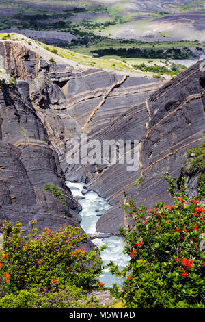 Rio Ascencia; Torres del Paine Nationalpark, Chile Stockfoto