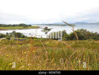 Schloss auf einer Insel mit Spiegelung, bewölktem Himmel und Bergen dahinter. Grass Foreground, Stalker Castle, Loch Laich, Argyll, Schottland Stockfoto