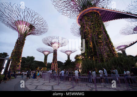 Beleuchtete Supertrees und Skywalk in Gärten durch die Bucht in Singapur bei Nacht Stockfoto