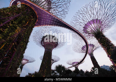 Beleuchtete Supertrees und Skywalk in Gärten durch die Bucht in Singapur bei Nacht Stockfoto
