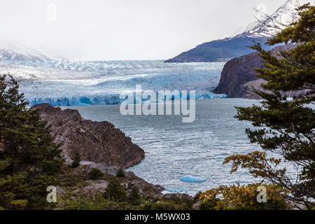 Robuste Gesicht der Glaciar Grey schmilzt und Kälber in den Lago Grey, Torres del Paine Nationalpark, Chile Stockfoto