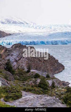 Robuste Gesicht der Glaciar Grey schmilzt und Kälber in den Lago Grey, Torres del Paine Nationalpark, Chile Stockfoto