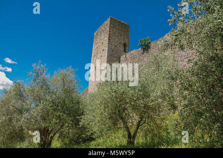 Nahaufnahme der Steinmauern der Monteriggioni Weiler, umgeben von Grün. Eine mittelalterliche Festung der Stadt, von Mauern in der Nähe von Siena umgeben.