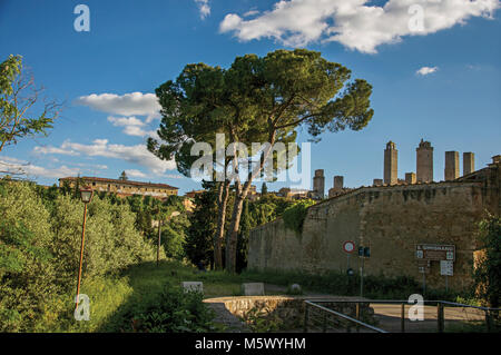 Blick auf die Stadtmauern und Türmen mit Bäumen am Sonnenuntergang in San Gimignano. Eine mittelalterliche Stadt mit mehreren Türmen. Stockfoto