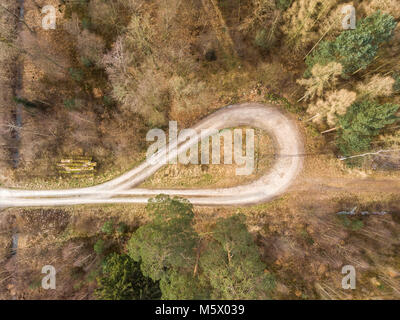 Luftbild vertikal an der Wendeschleife in einem Wald ridge mit großen Fichten, Kiefern und Tannen, abstrakte Luftaufnahme, drone Schuß Stockfoto