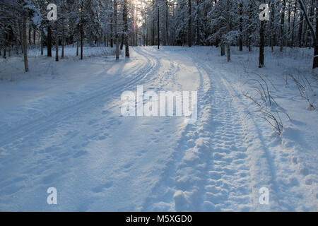 Skigebiet im schwedischen Wald ein sonniger Tag. Stockfoto