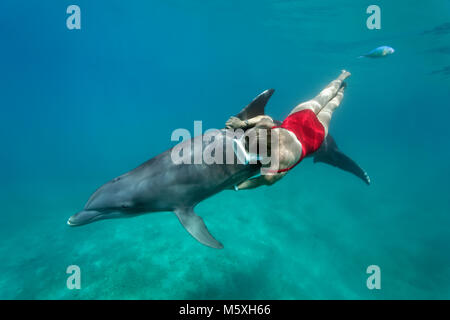 Weibliche freediverin mit Großer Tümmler (Tursiops truncatus), der Dolphin Center, Captive, Moorea, Windward Islands Stockfoto