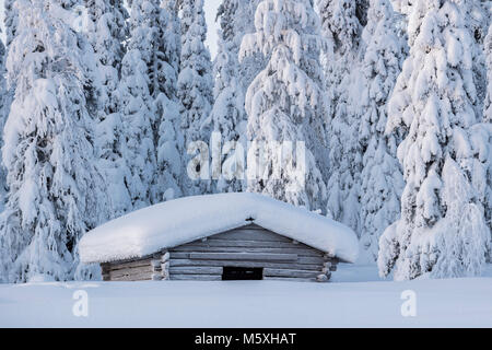 Lappland Finnland Schnee Landschaft Nordland Winter ...