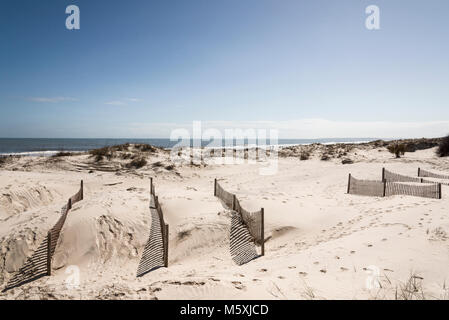 Die großen Dünen auf Jekyll Island Georgia Stockfoto