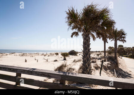 Die großen Dünen auf Jekyll Island Georgia Stockfoto