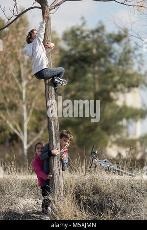 10-jährige Mädchen kletterte auf einen Baum und ihre Cousins nach unten. Horizontale shot mit Tageslicht Stockfoto