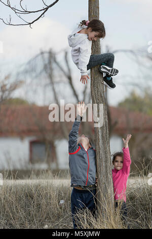 10-jährige Mädchen kletterte auf einen Baum und ihre Cousins nach unten. Horizontale shot mit Tageslicht Stockfoto