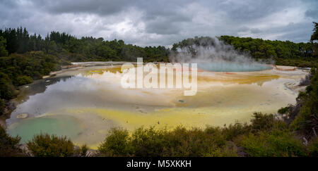 Prähistorische Landschaft mit Thermalquellen, Rotorua, Neuseeland Stockfoto