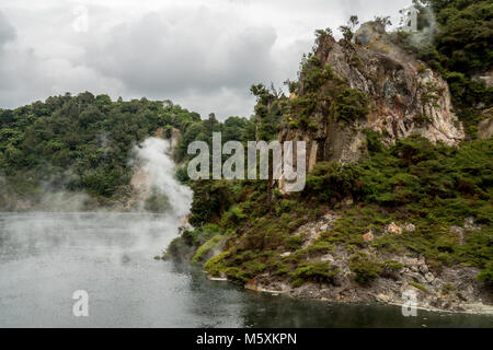 Prähistorische Landschaft mit Thermalquellen, Rotorua, Neuseeland Stockfoto