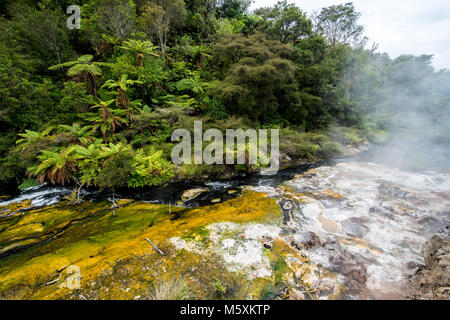 Die prähistorische Landschaft in Rotorua Wai-o-Tapu geothermale Region Stockfoto