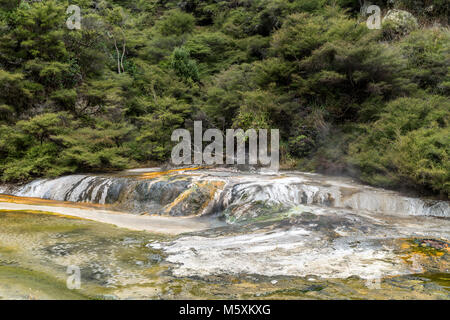 Prähistorische Landschaft mit Thermalquellen, Rotorua, Neuseeland Stockfoto