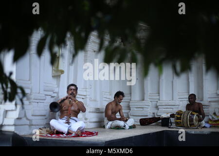 Sarppakkaavu in Kerala Stockfoto