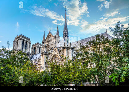 Die reich verzierte gotische Architektur und Türme auf der Seite der Kathedrale Notre Dame, Paris Frankreich an einem sonnigen Sommertag mit Bäumen im Vordergrund. Stockfoto