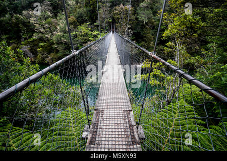 Schaukel Brücke über Blue River im Abel Tasman, Neuseeland Stockfoto