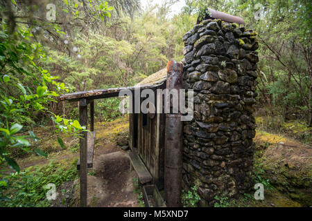 Alten, verlassenen Haus von Dschungel angebaut Stockfoto