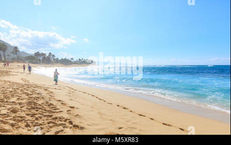 Hawaiian Beach auf der Insel Oahu, Hawaii, USA Stockfoto