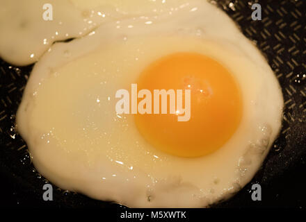 Organische Spiegelei in der Pfanne, sunny side up Spiegelei zum Frühstück Stockfoto