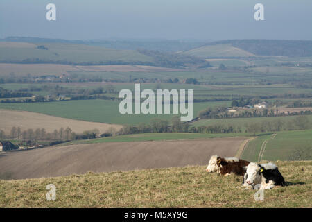 Butser Hill Landschaft an einem klaren kalten Wintermorgen in Hampshire, Großbritannien. South Downs National Park. Stockfoto