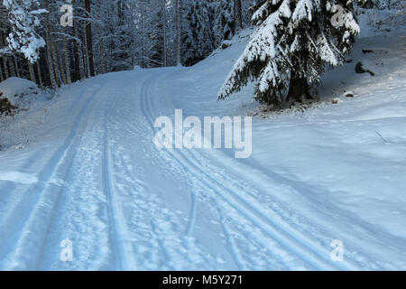 Skigebiet im schwedischen Wald Stockfoto