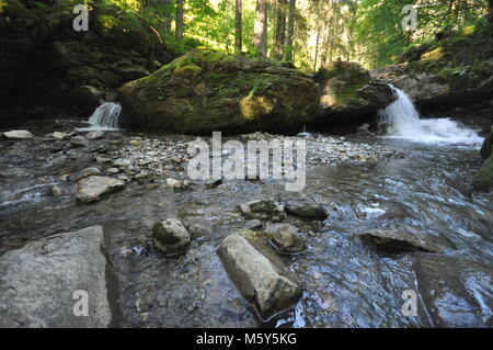 Wunderschöne Bäche und Wasserfälle mit schnell fließendem Wasser zwischen Wald und felsigen Vordergrund. Aufgenommen in den Wäldern des Schwarzwaldes, Deutschland Stockfoto