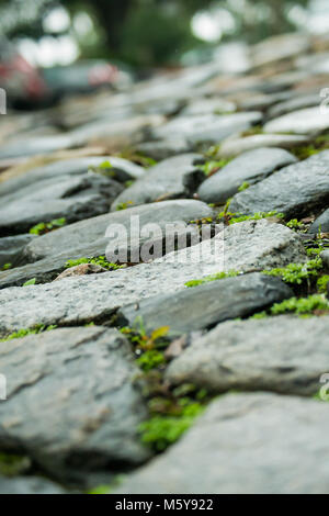 Straße mit Kopfsteinpflaster - closeup und gewinkelt - zeigt die Kunst und Design der historischen Stadt Pflaster in Savannah, GA, USA Stockfoto